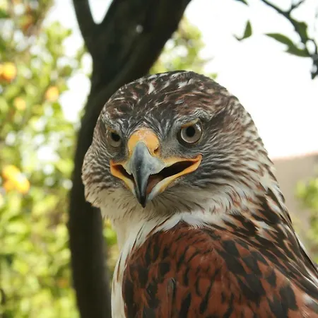 La Casa Dei Nonni Semesterbostad Iglesias
