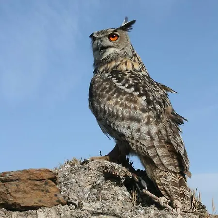 La Casa Dei Nonni Semesterbostad *